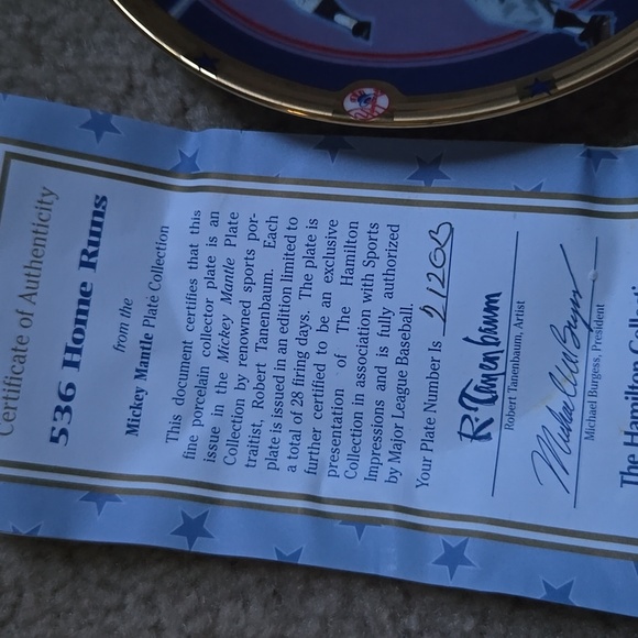 Collectable Baseball Plate - Picture 2 of 6